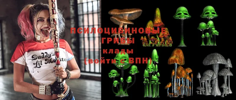 Псилоцибиновые грибы Magic Shrooms  блэк спрут сайт  Камбарка 